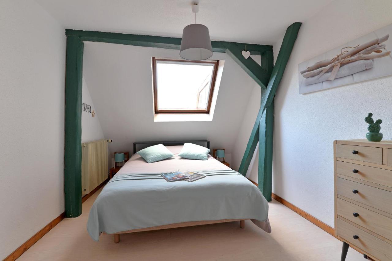 Appartement La Grande Terrasse Du Centre Colmar Zewnętrze zdjęcie
